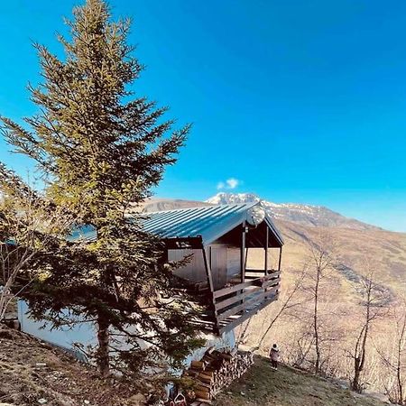 Chalet Au Pla D'Adet Saint-Lary-Soulan Eksteriør billede