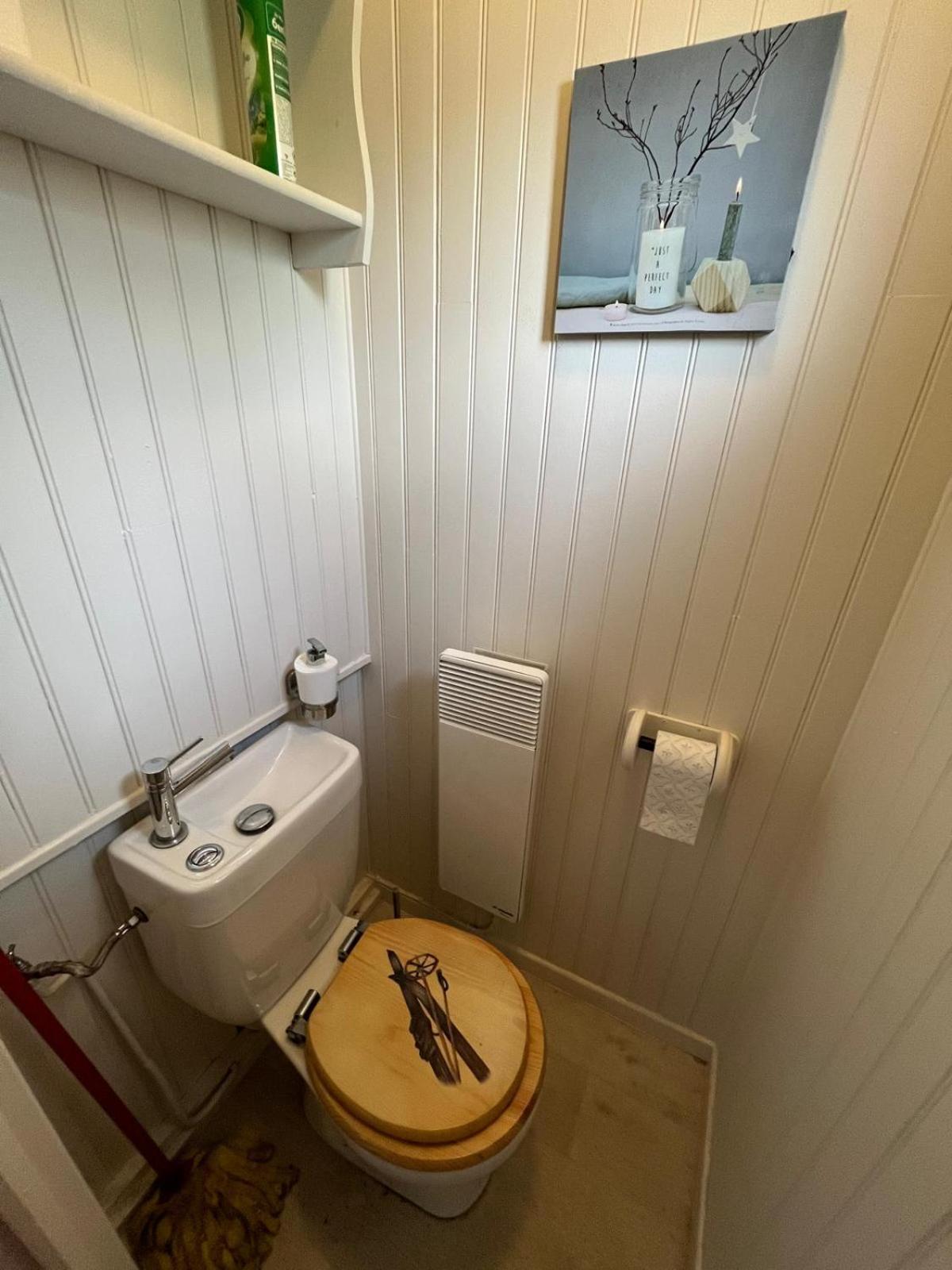 Chalet Au Pla D'Adet Saint-Lary-Soulan Eksteriør billede